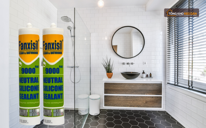 Keo Fanxisil 9000 Plus (1)