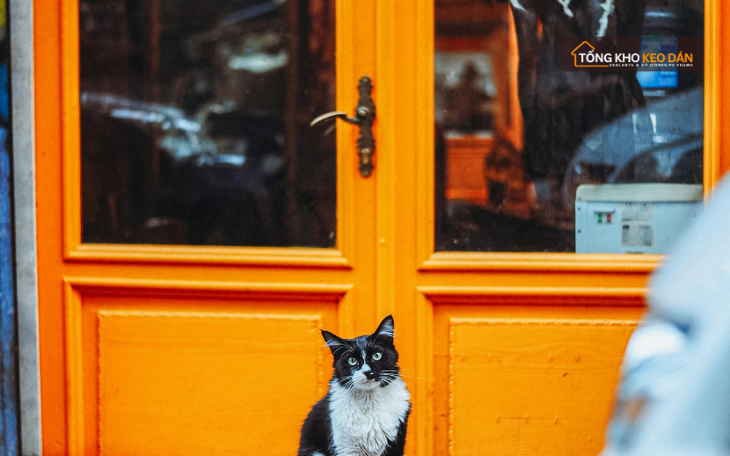 Keo silicone màu cam ứng dụng cửa nhôm kính