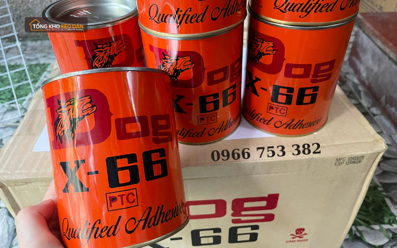 cung cấp keo Dog X66 tại HCM