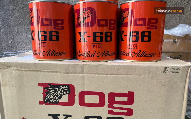 mua keo con chó ở đâu mua keo con chó ở đâu