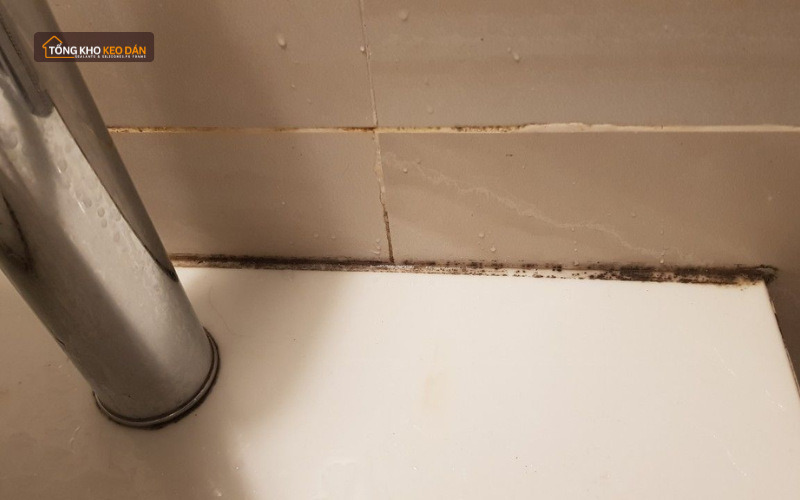 keo silicone Thanh Hóa chính hãng keo silicone Thanh Hóa chính hãng