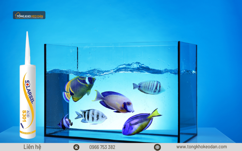 thời gian khô keo Solarsil S301 thời gian khô keo Solarsil S301