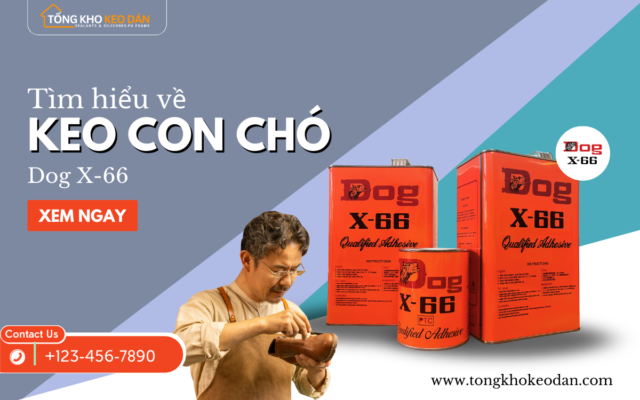 Tim hieu ve keo con cho 1.png