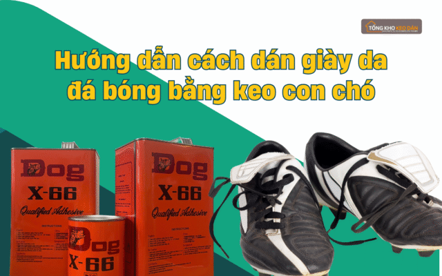 Hướng dẫn cách dán giày da đá bóng bằng keo con chó