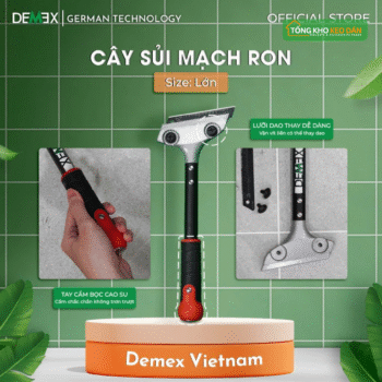 CÂY SỦI MẠCH RON LỚN (1)
