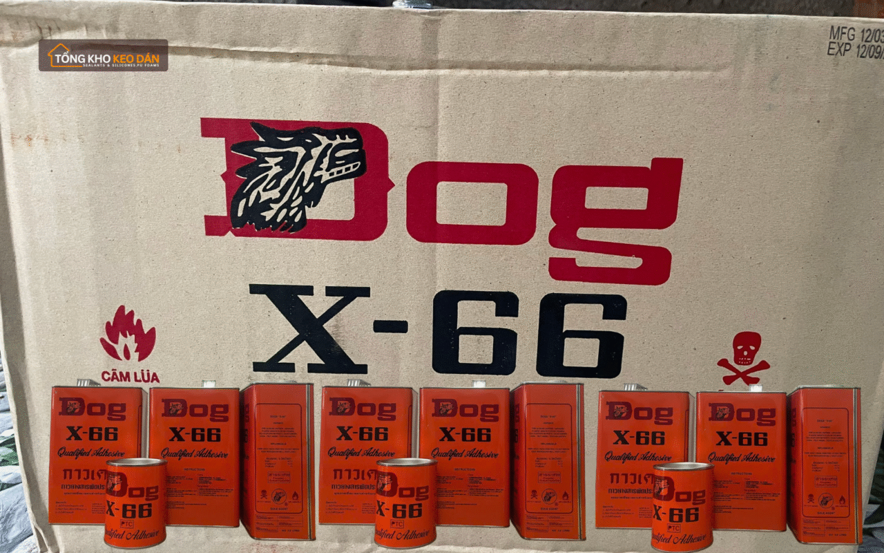 Saha chuyên cung cấp keo con chó toàn quốc