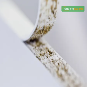 Keo hạt dán cạnh Joinbond